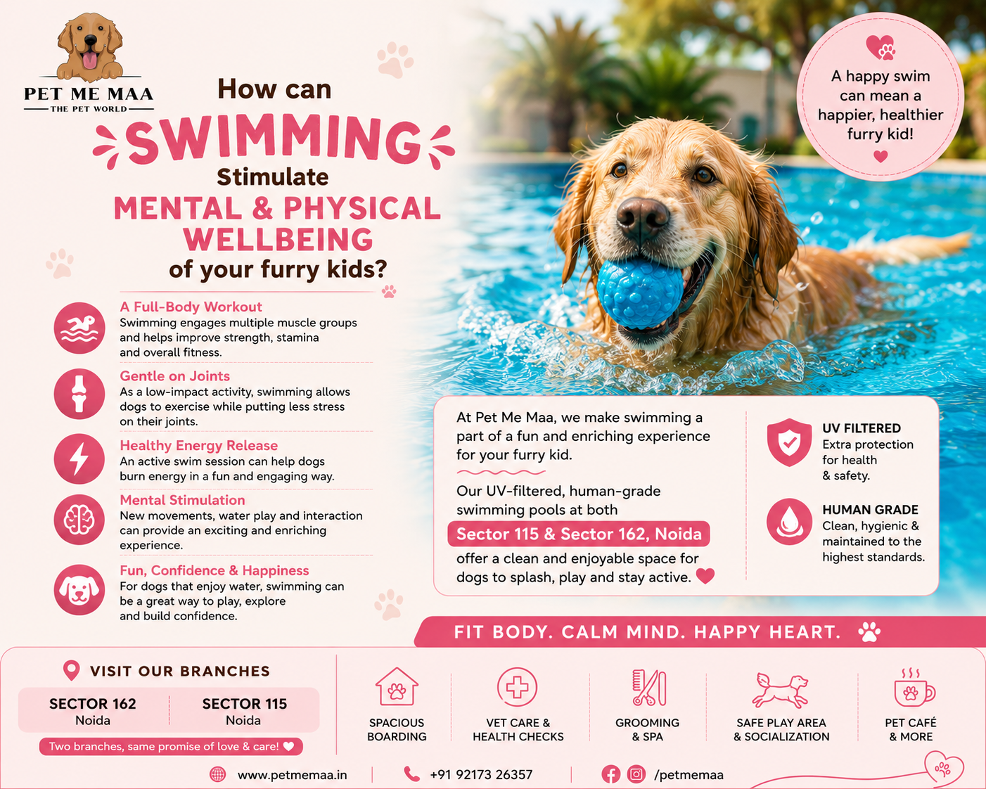 How can Swimming stimulate mental and physical wellbeing of your furry kids