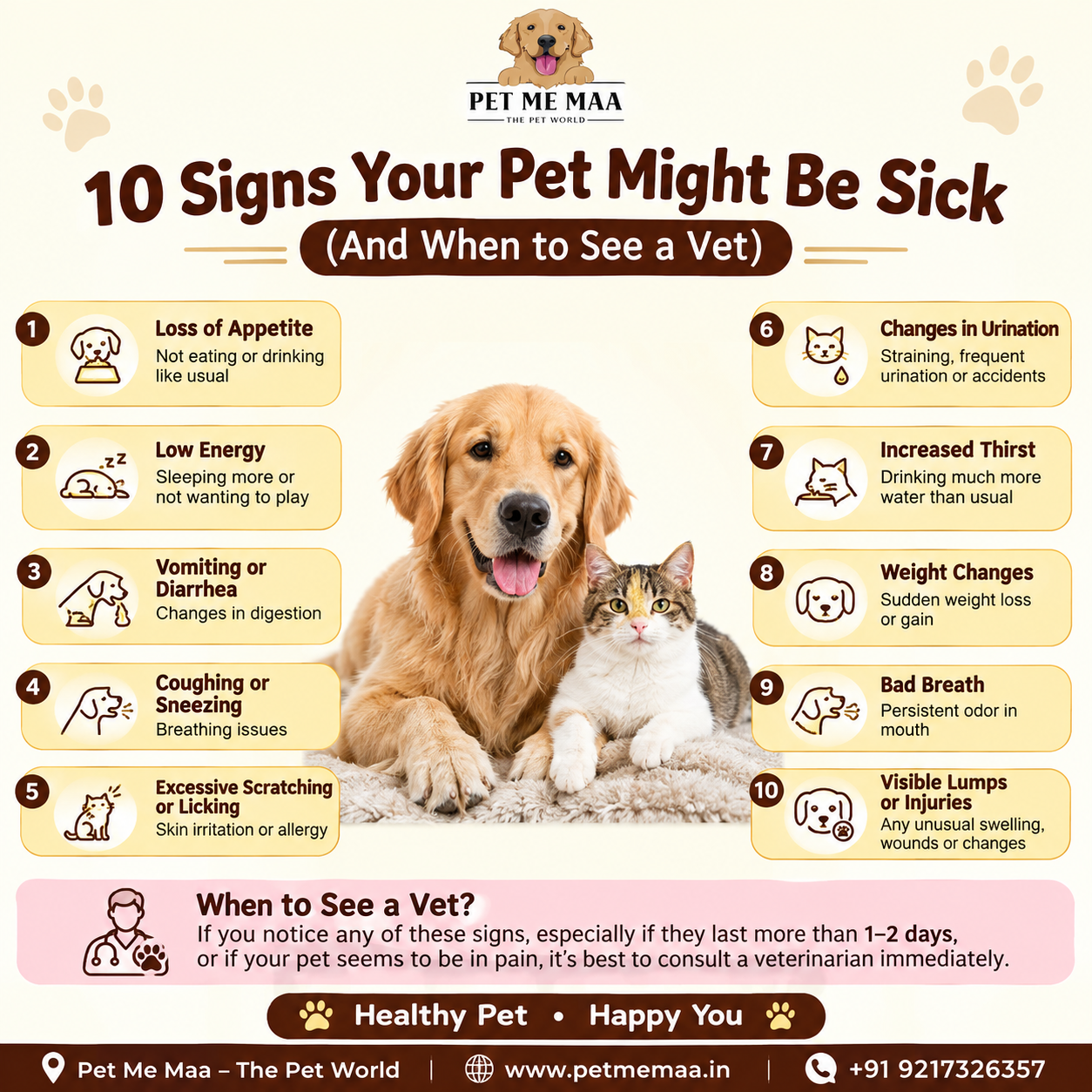 10 Signs Your Pet Might Be Sick (And When to See a Vet)