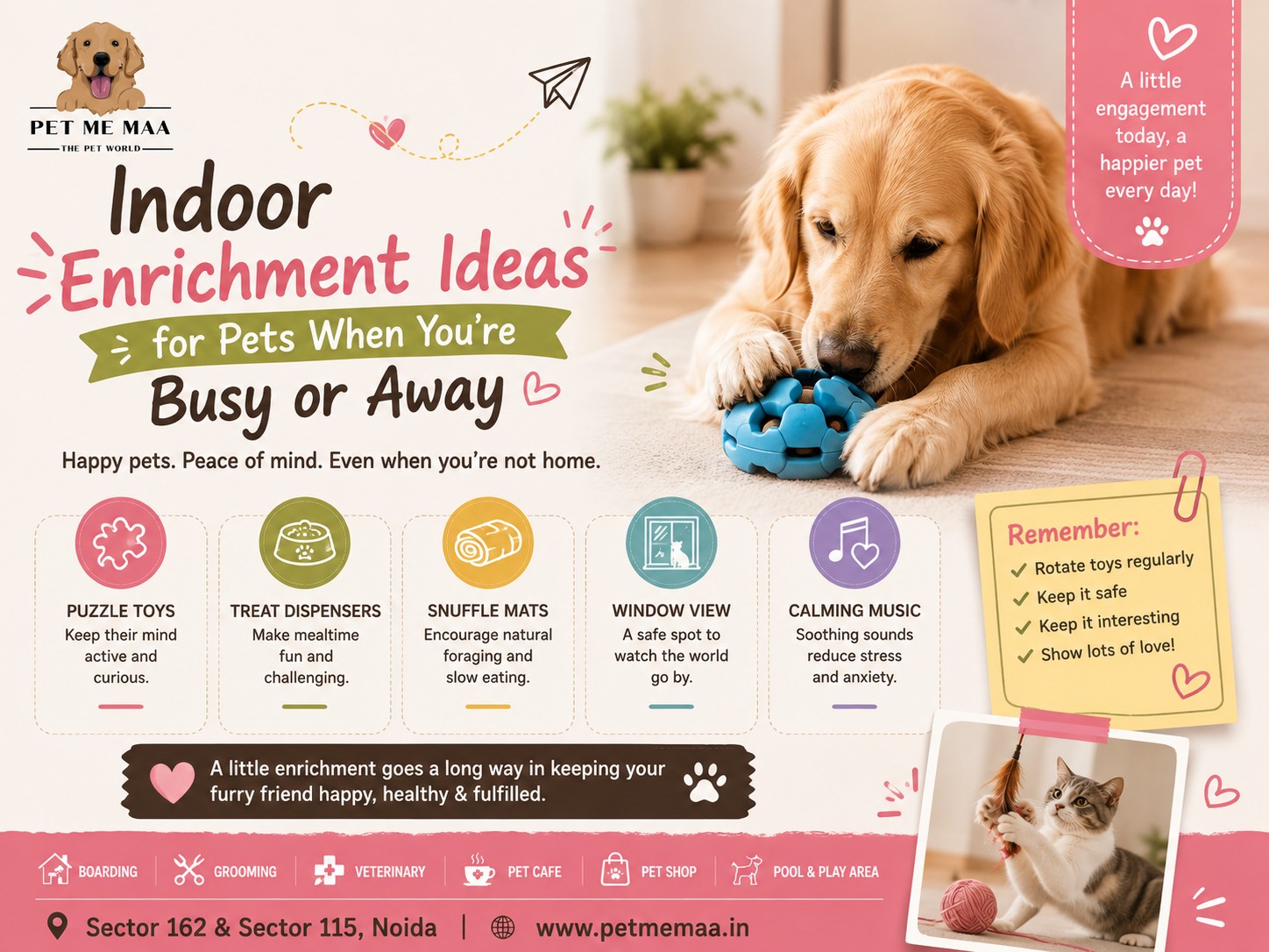 Indoor Enrichment Ideas for Pets When You're Busy or Away