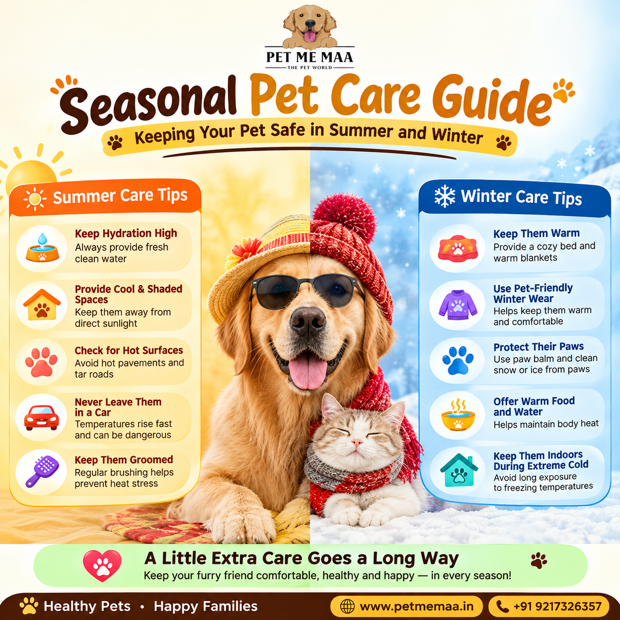 Seasonal Pet Care Guide: Keeping Your Pet Safe in Summer and Winter